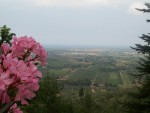 ...Paesaggio Toscana..., di Fede_4ever