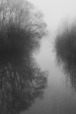 fog down the river, di msar67