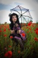 Poppies, di THE.ORY