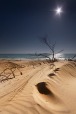Sand dunes, di ricocavallo