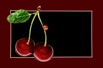 Cherries, di Pistapoci