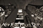 New York Police Department, di Firebird