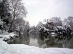 Neve al lago, di eleonora82
