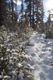 Snow Path, di yannik