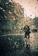 Rain In The City