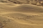 passeggiando nel deserto, di photofondacaro