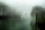 Nebbia a Casale sul Sile Tv, di Fotobyfabio