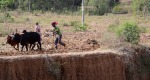 Agricoltura in Africa 2, di ginocosta