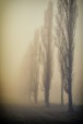 nebbia (2)