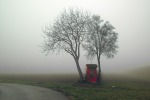 misty day, di Adelmo