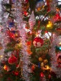 L'albero di Natale di Vanni, di selenina