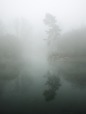 The mist, di Max