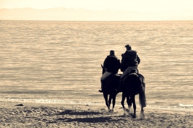 Cavalli in riva al mare