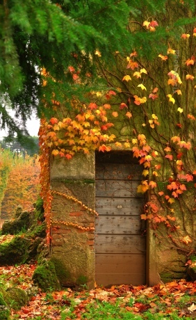 autunno alle porte