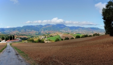 Panorama marchigiano_large