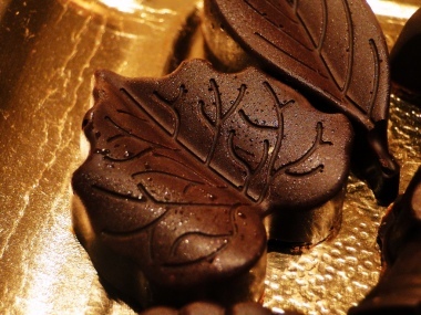 foglie di cioccolata