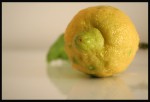 lemon, di sandrina