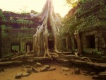 Angkor wat, di elix22