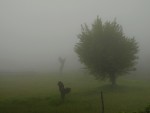 fog, di alexander-supertramp