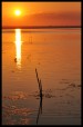 tramonto sul lago trasimeno, di federoma