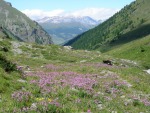 Alta Val Chisone, di MarcoMacro