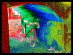 bici è colore, di bega