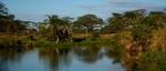 Laghetto del Serengeti, di Bobo87