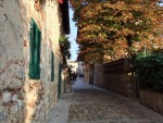 colori autunnali a Monteriggioni, di trighele