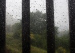 In The Rain, di in-the-wind