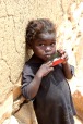 Mali2011, di donass