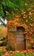 autunno alle porte, di MAU_