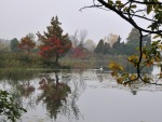 Colori d'autunno, di Osvy46