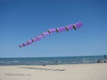 kites in the sky, di robyvenice