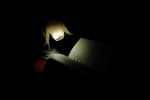 the book in the darkness