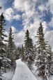 Snow Trail, di yannik