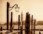 La garzetta di Venezia