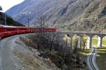 Sul trenino del Bernina, di micio