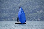 Lago Maggiore, di micio