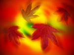 Leaves in motion