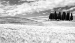 tuscan landscape, di fabio