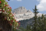 I fiori e la montagna, di silvius