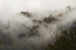 nebbia, di bucefalo