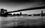 Classico Newyorkese, di francescophoto