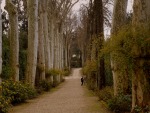 I giardini del Re - Firenze, di provenza