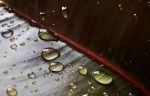 Rain - the day after, di Reana