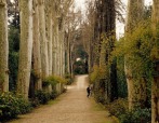 i giardini di Boboli, di provenza