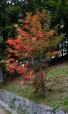 I colori dell'autunno., di ginocosta