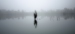Nebbia sul lago, di MauroT