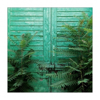 La porta verde