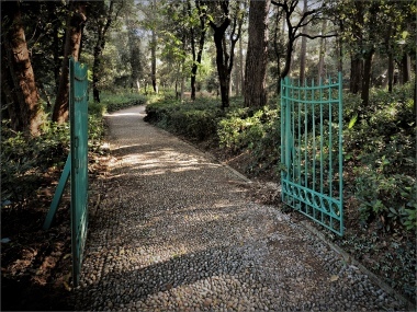 Il cancello verde